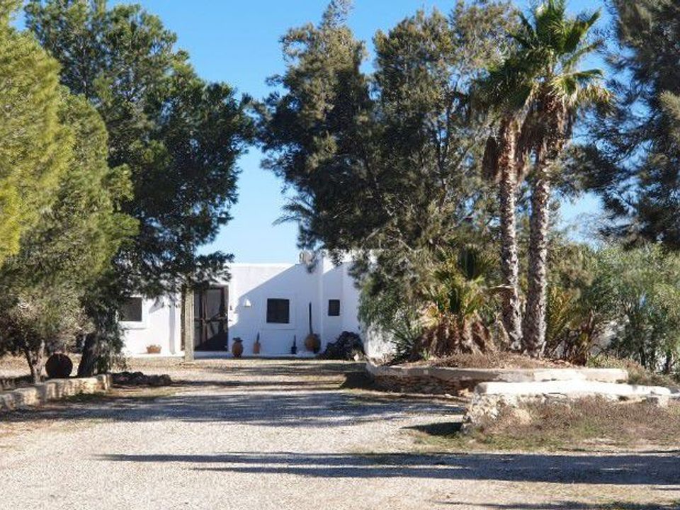 Landejendom i Agua Amarga, Almeria - foto 4