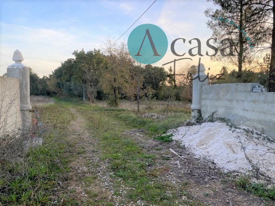 Helårsgrund i Ferreira do Zezere, Santarem - foto 1