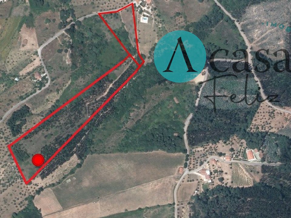 Helårsgrund i Ferreira do Zezere, Santarem - foto 2