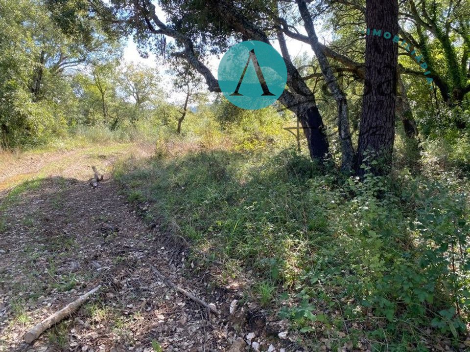 Helårsgrund i Ferreira do Zezere, Santarem - foto 5