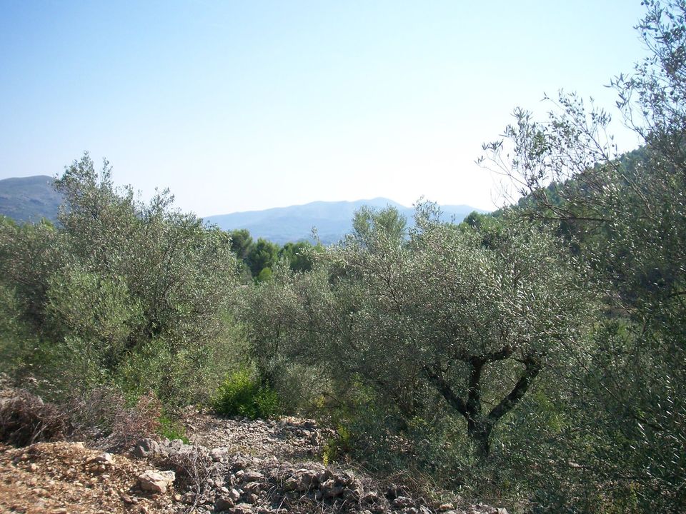 Helårsgrund i Murla, Alicante - foto 2