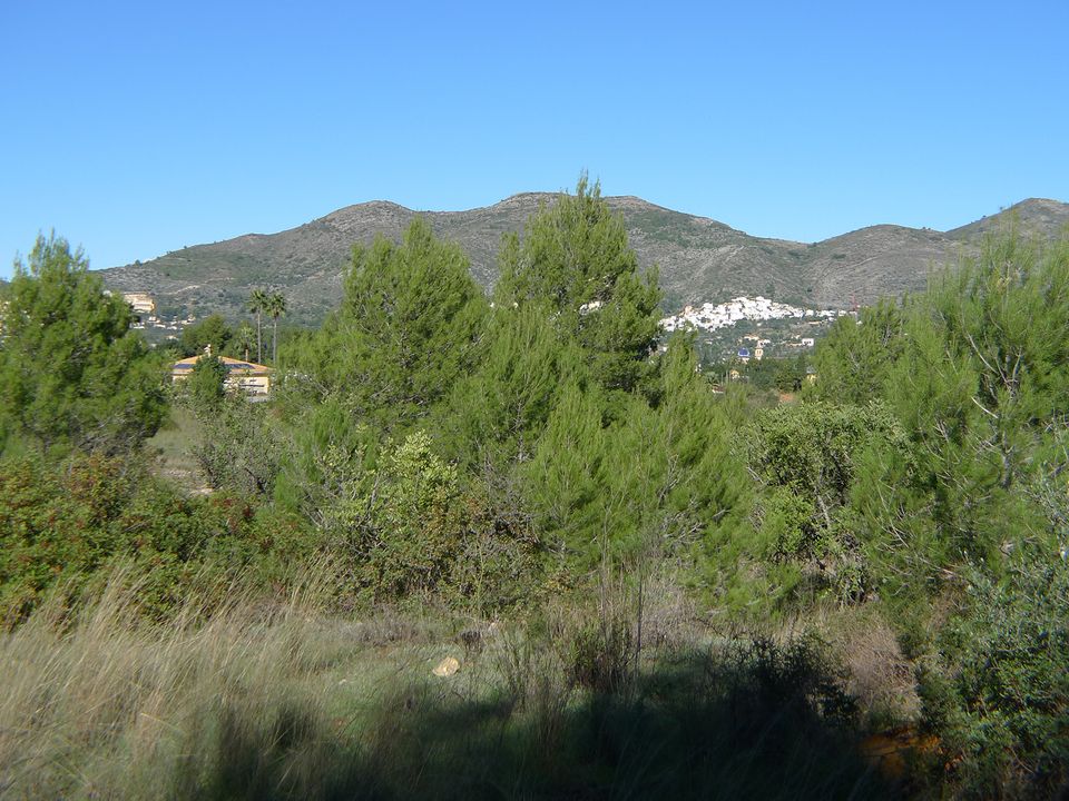 Helårsgrund i Jalon, Alicante - foto 1