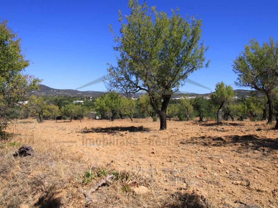 Ruinere i Estoi, Faro - foto 2