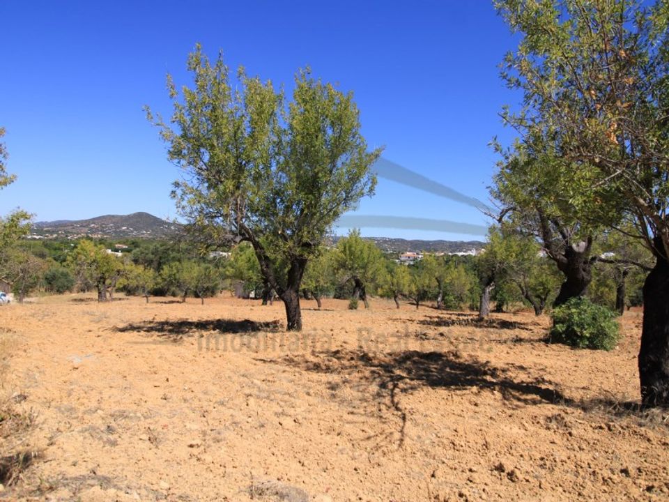 Ruinere i Estoi, Faro - foto 3