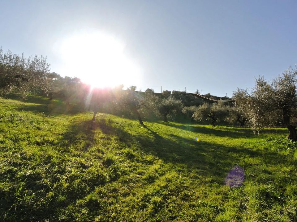 Terra a Loreto Aprutino, Pescara - foto 5