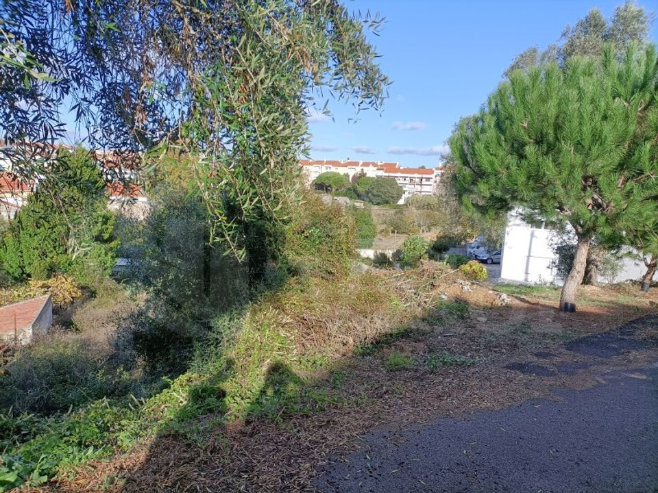 Helårsgrund i Sintra, Lisbon - foto 4