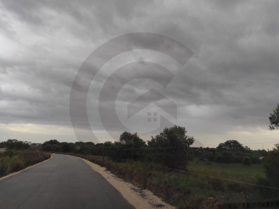 Helårsgrund i Torres Novas, Santarem - foto 3