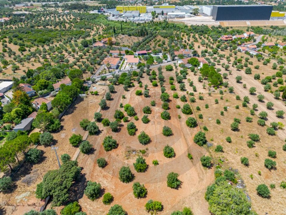 Helårsgrund i Torres Novas, Santarem - foto 1