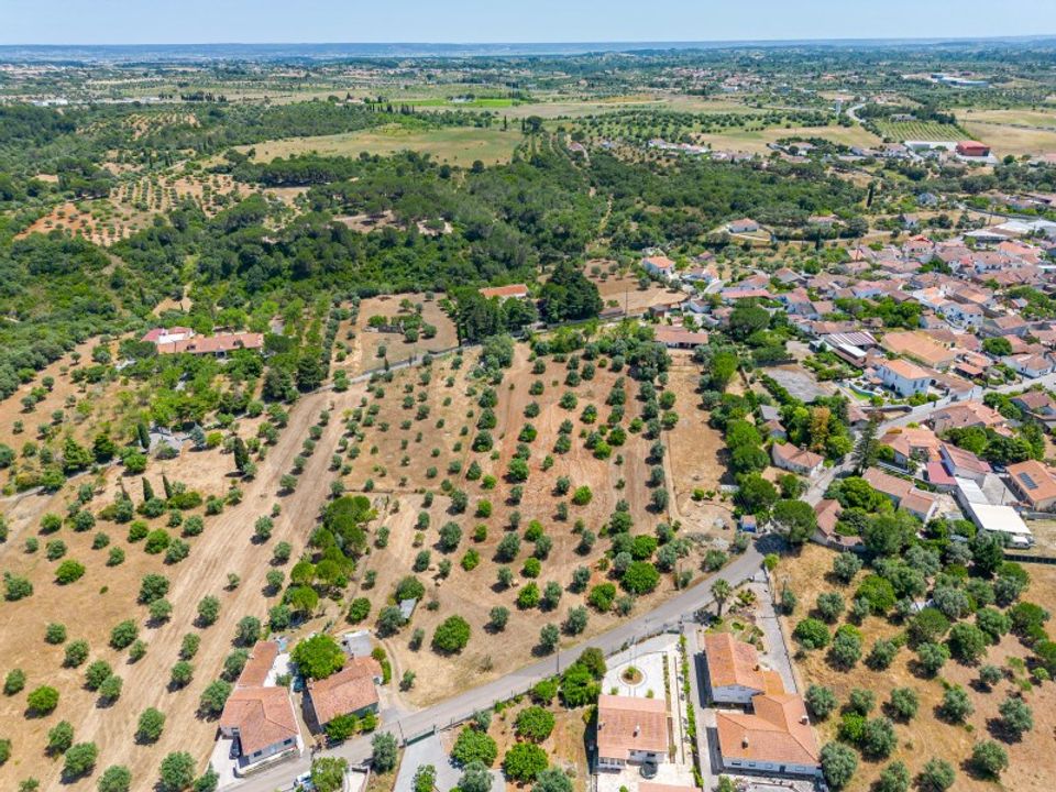 Helårsgrund i Torres Novas, Santarem - foto 3