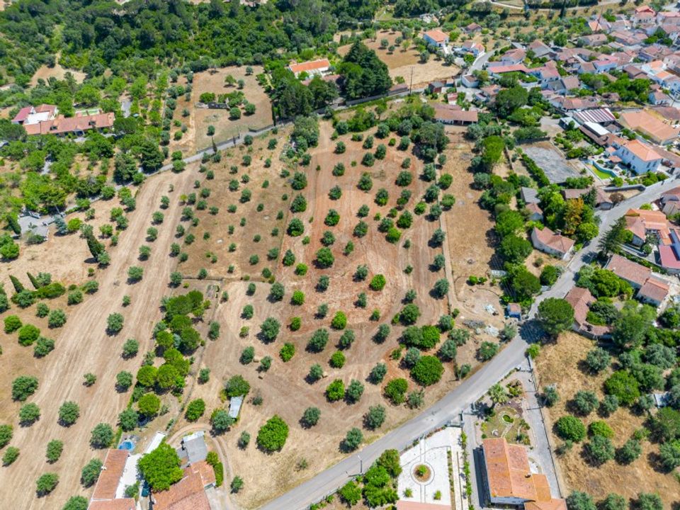 Helårsgrund i Torres Novas, Santarem - foto 5