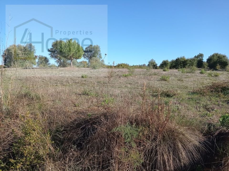 Helårsgrund i Tomar, Santarem - foto 2