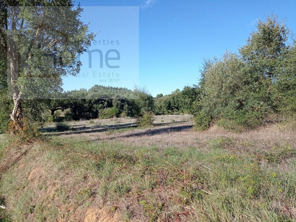 Helårsgrund i Tomar, Santarem - foto 4