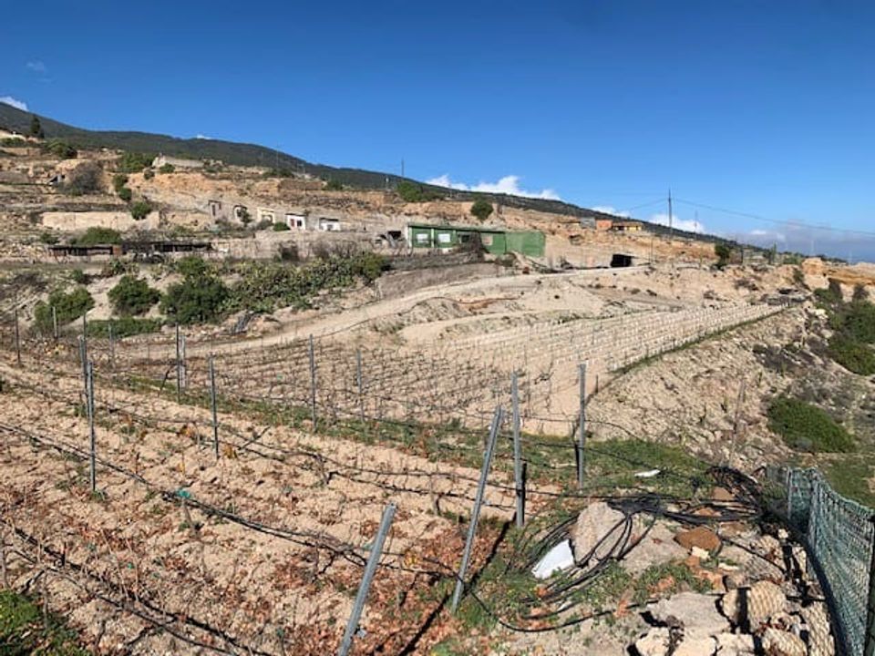 Finca i Fasnia, Tenerife - foto 4