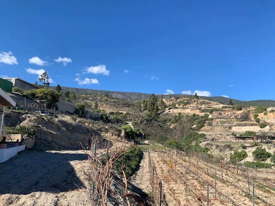 Finca i Fasnia, Tenerife - foto 5