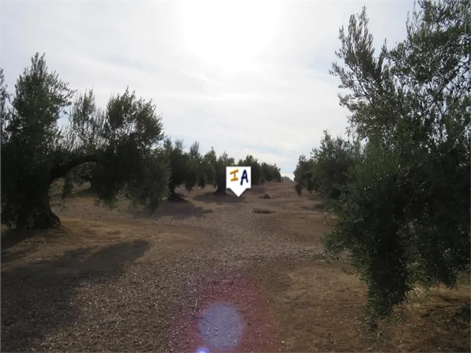 Helårsgrund i Alcaudete, Jaen - foto 3