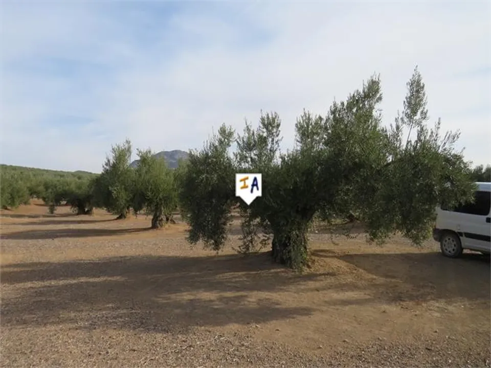Helårsgrund i Alcaudete, Jaen - foto 5