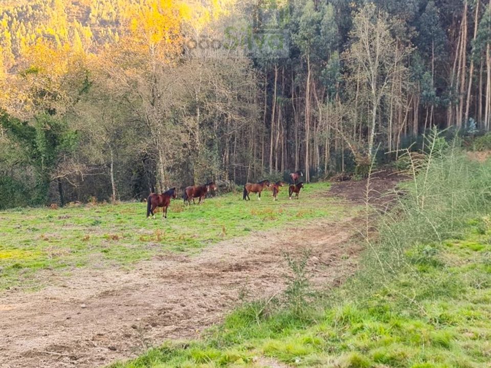Helårsgrund i Gondufe, Viana do Castelo - foto 2