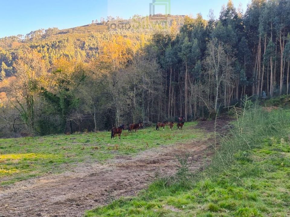 Helårsgrund i Gondufe, Viana do Castelo - foto 3