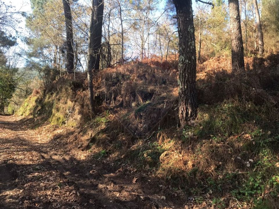 Helårsgrund i Arcos de Valdevez, Viana do Castelo - foto 4