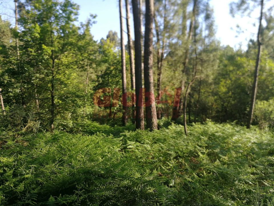 Helårsgrund i Viseu, Viseu - foto 2