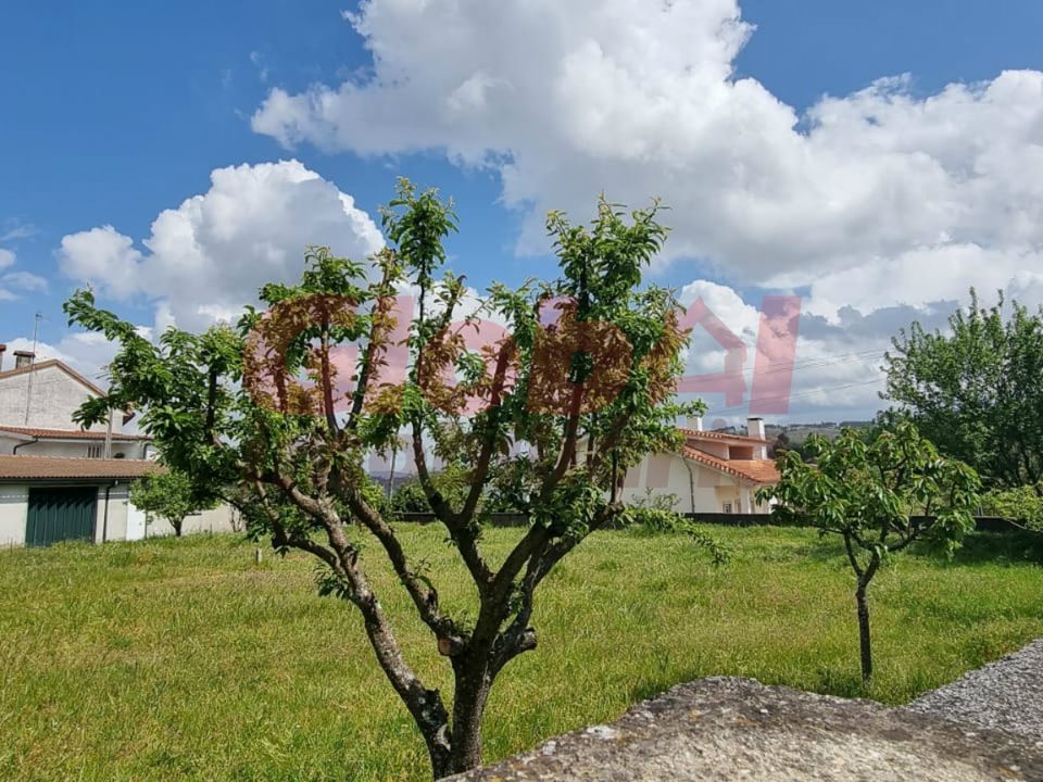 Helårsgrund i Viseu, Viseu - foto 2