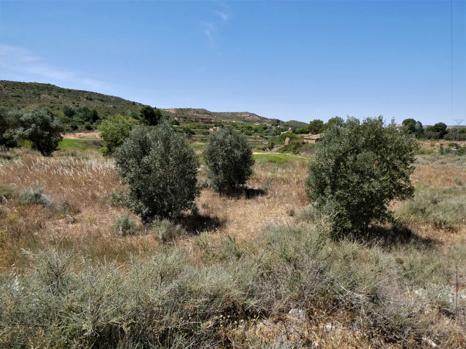 Finca i Caspe, Zaragoza - bilde 3