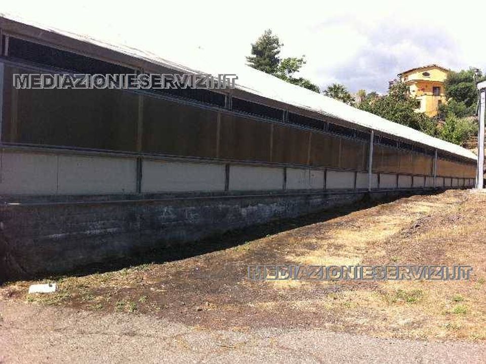Farm i Mascali, Catania - foto 3