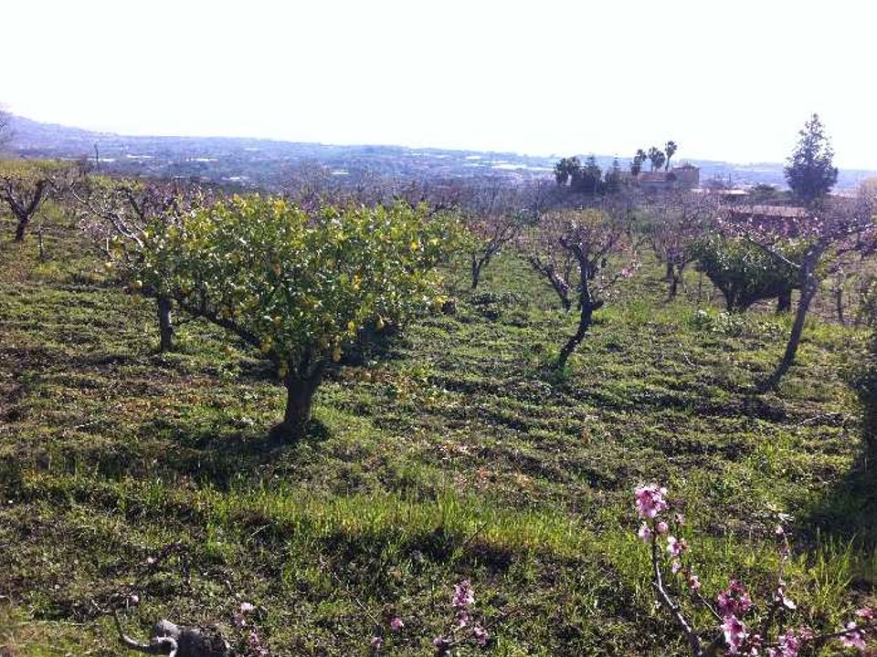 Helårsgrund i Fiumefreddo di Sicilia, Catania - foto 1