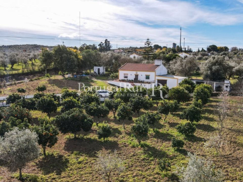 Farm i Vila Vicosa, Evora - foto 5