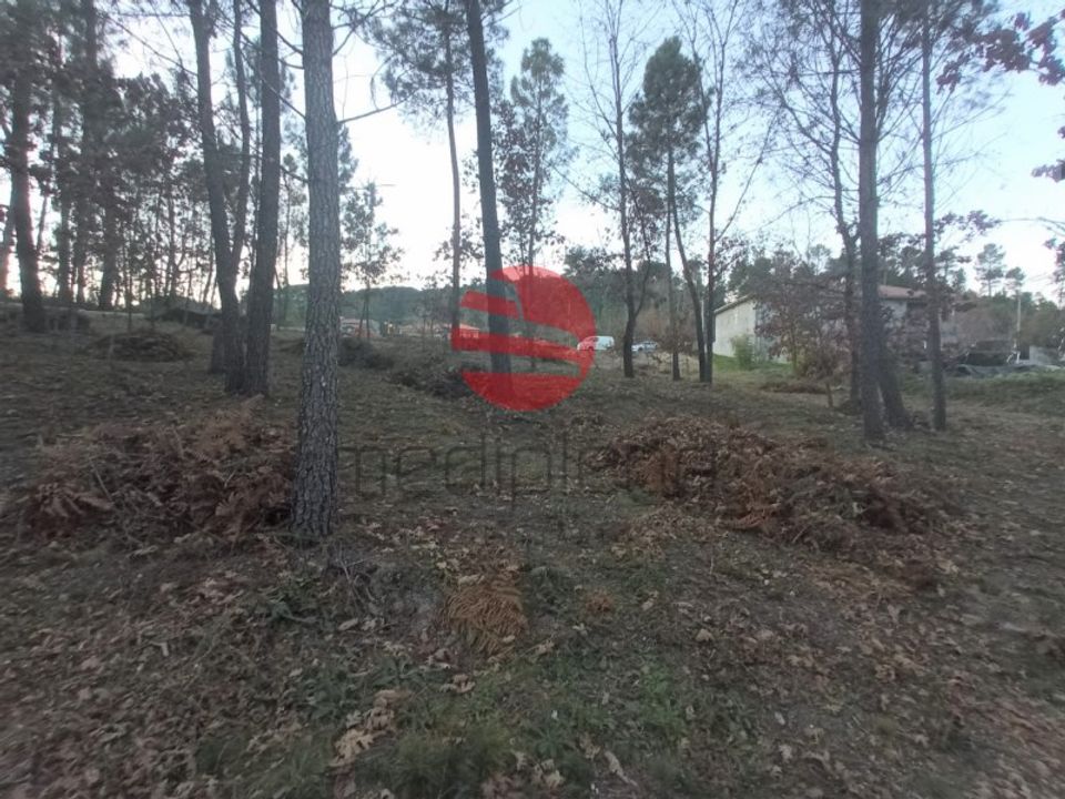 Helårsgrund i Santos Evos, Viseu - foto 1