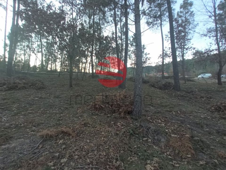 Helårsgrund i Santos Evos, Viseu - foto 2