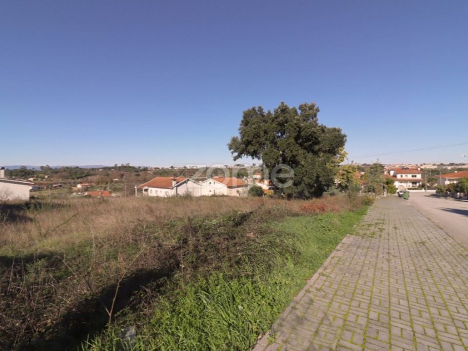 Terra a Nelas, Viseu - foto 1