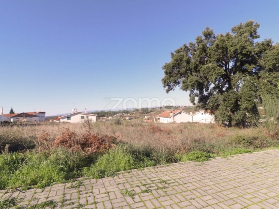 Terra a Nelas, Viseu - foto 5