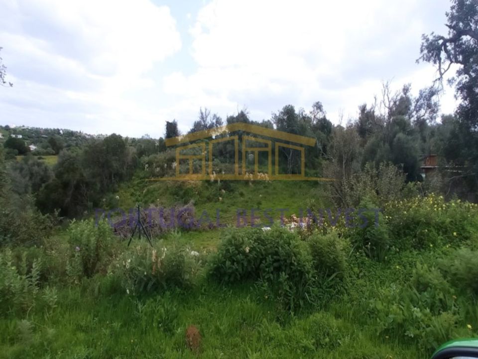 Helårsgrund i Guia, Faro - foto 3
