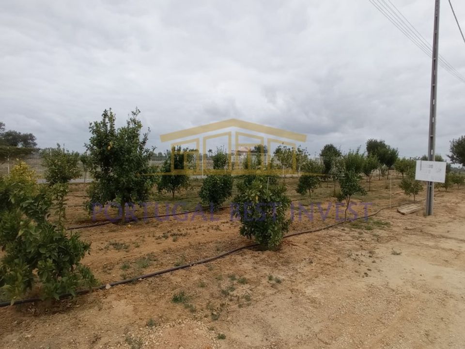 Helårsgrund i Guia, Faro - foto 4