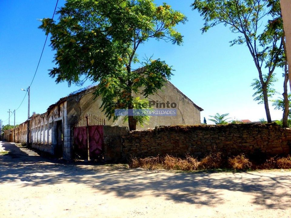 Ruin i Figueira de Castelo Rodrigo, Guarda - bilde 3