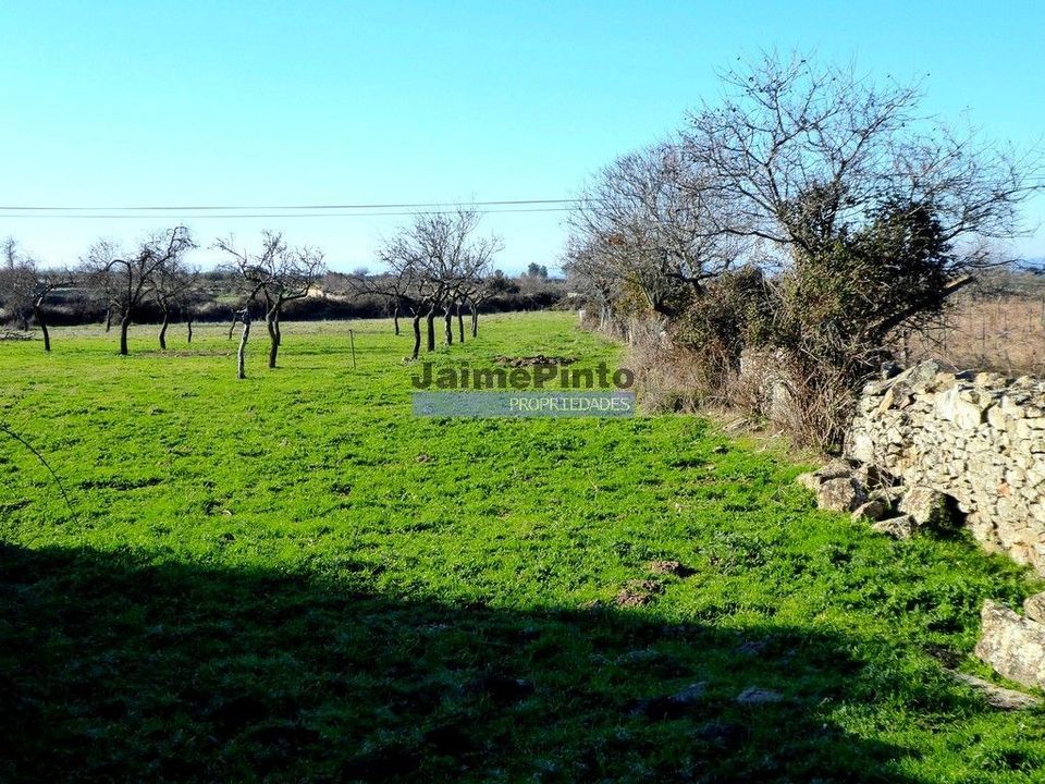 Helårsgrund i Figueira de Castelo Rodrigo, Guarda - foto 3