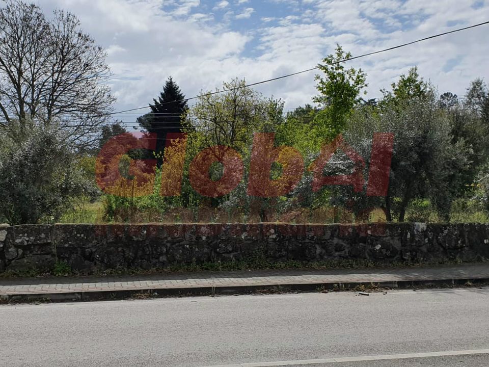 Helårsgrund i Tondela, Viseu - foto 1