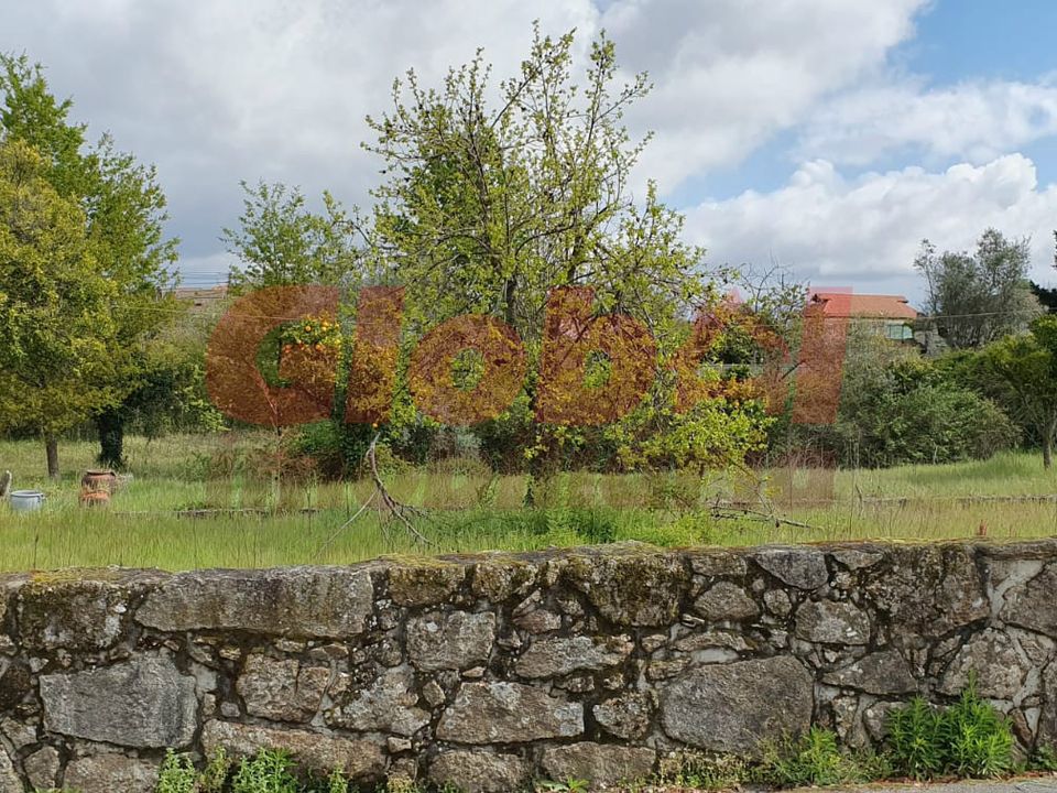 Helårsgrund i Tondela, Viseu - foto 1