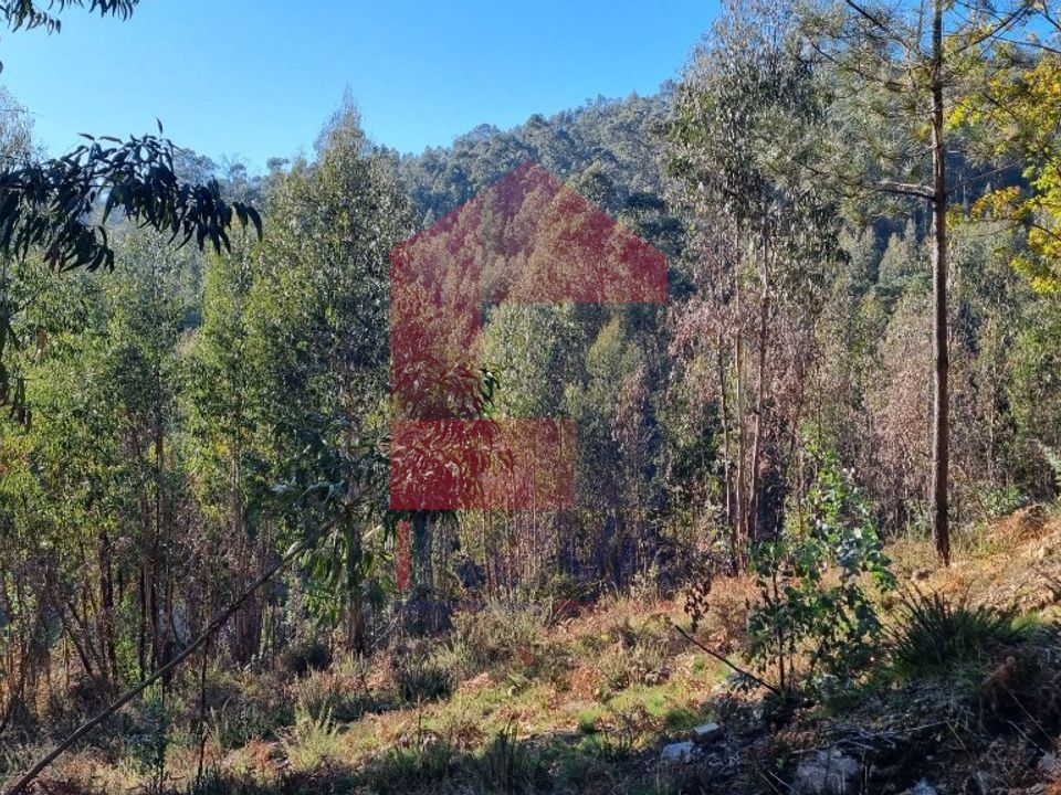 Helårsgrund i Vila Verde, Braga - foto 3