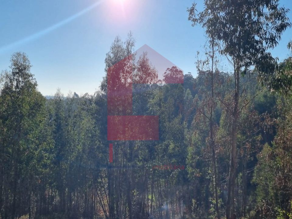Helårsgrund i Vila Verde, Braga - foto 4