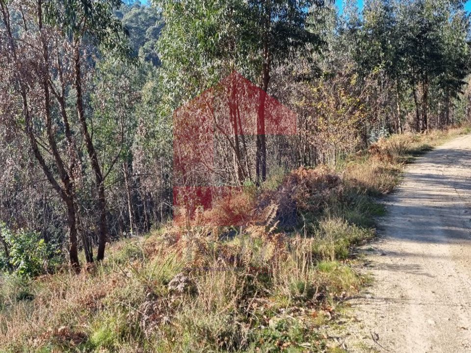 Helårsgrund i Vila Verde, Braga - foto 5