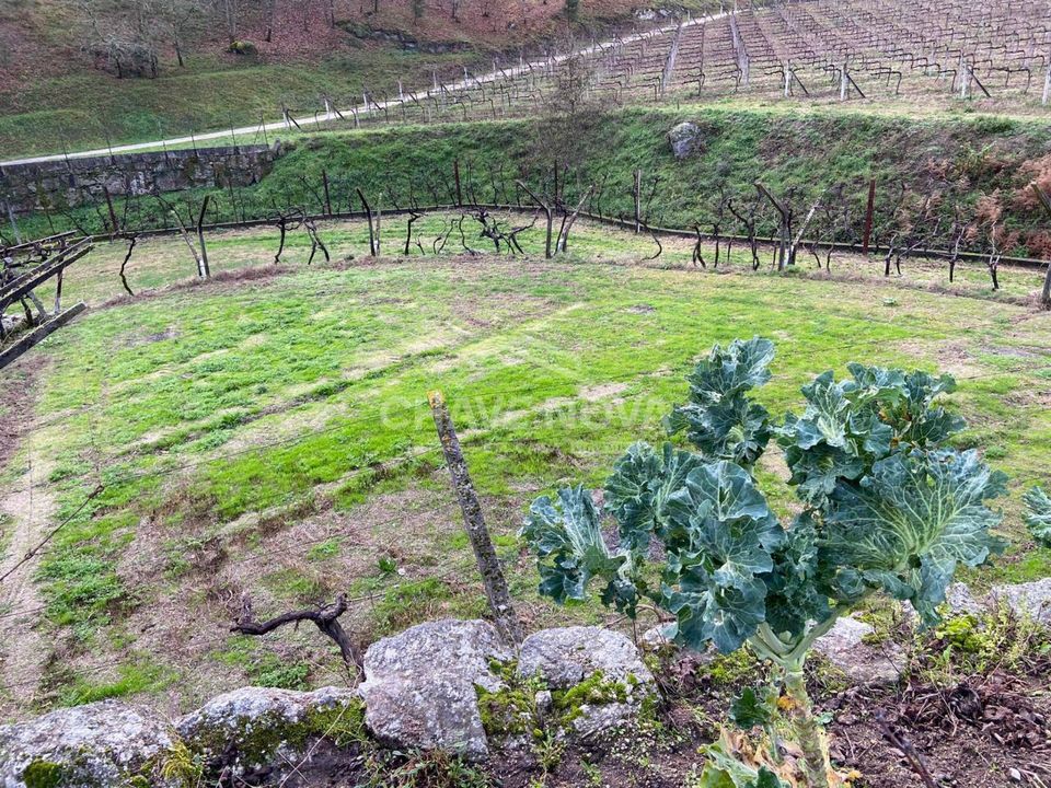 Helårsgrund i Baiao, Porto - foto 2