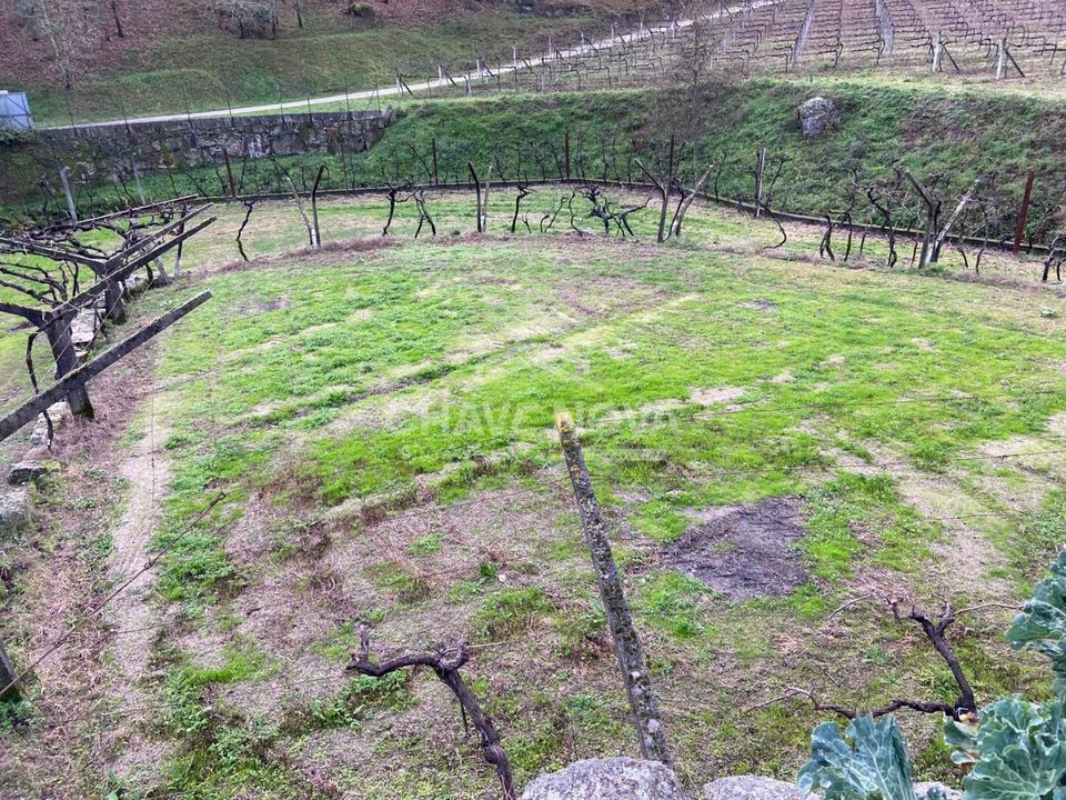 Helårsgrund i Baiao, Porto - foto 3