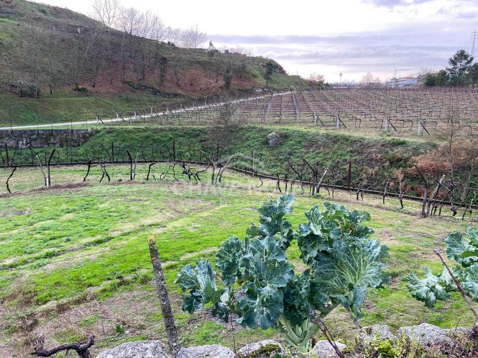 Helårsgrund i Baiao, Porto - foto 1