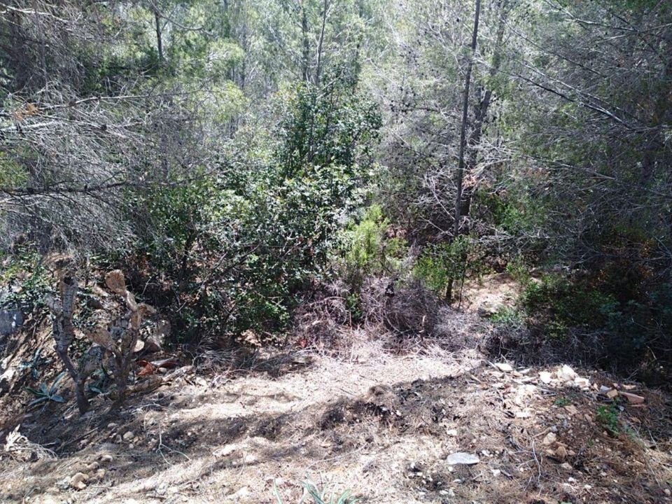 Helårsgrund i Calpe, Alicante - foto 2
