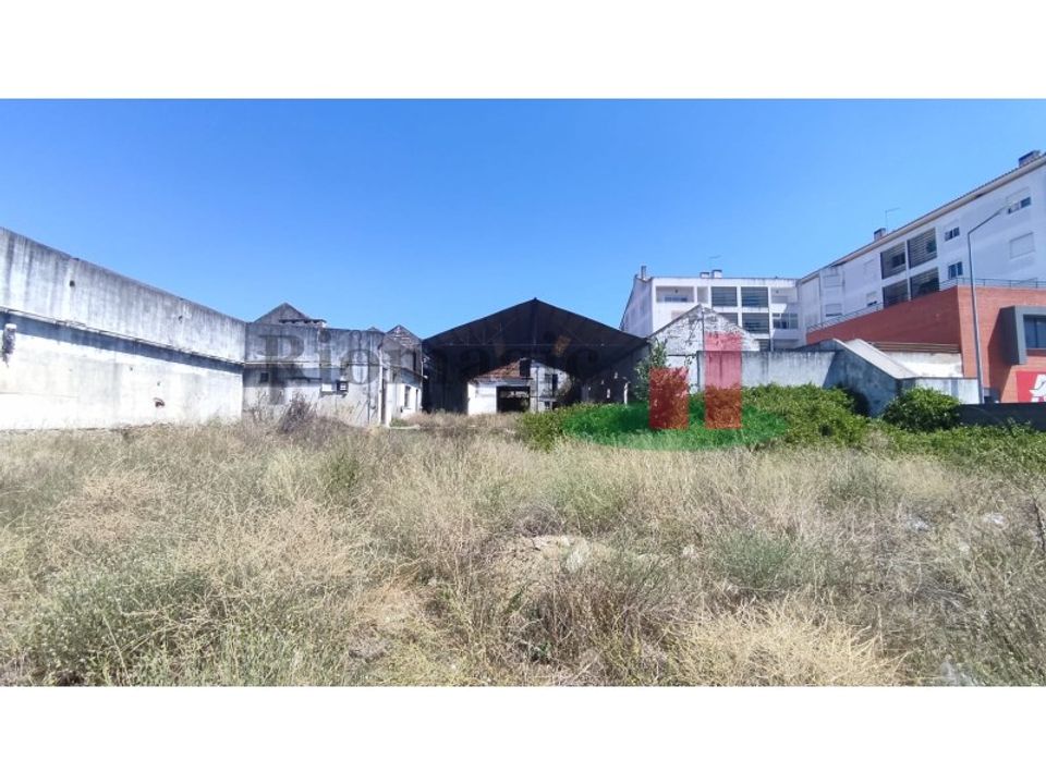 Helårsgrund i Alpiarca, Santarem - foto 2