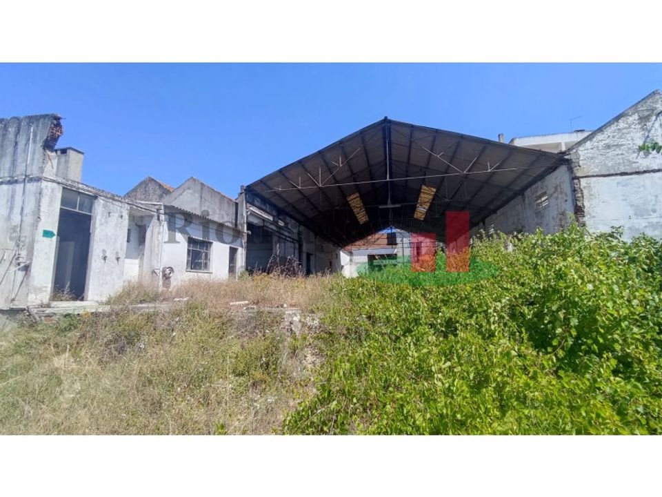 Helårsgrund i Alpiarca, Santarem - foto 3