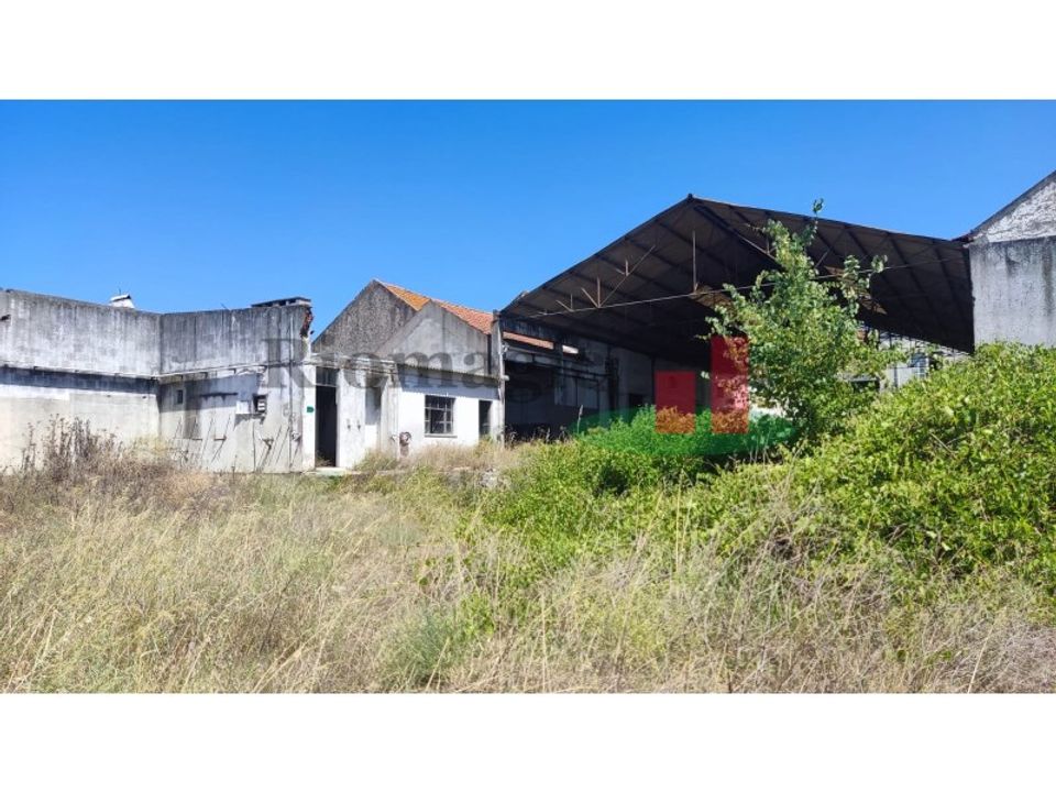 Helårsgrund i Alpiarca, Santarem - foto 5