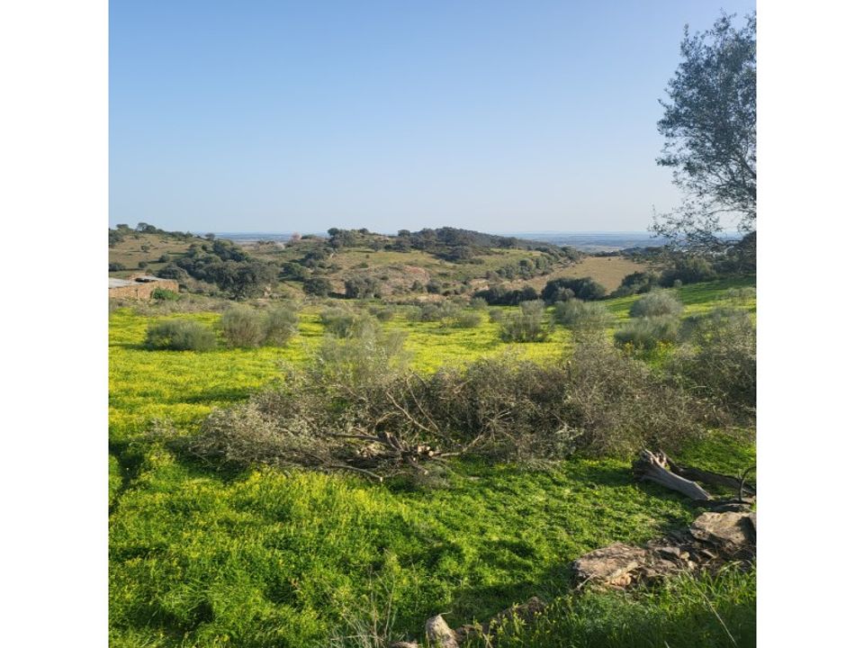 Farm i Evora, Evora - foto 4